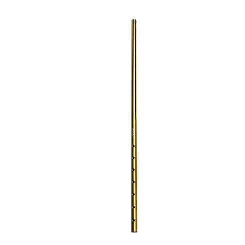 Adjustable Set Golden LOCKINK 3867 Anal AllNight Hook 0531